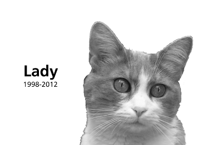 "my cat's obituary"
